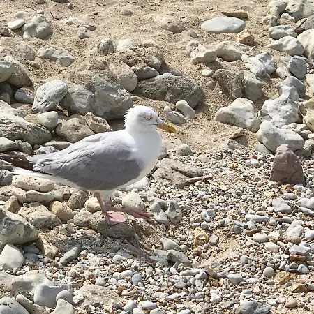 Le De Gabriel Front De Appartement