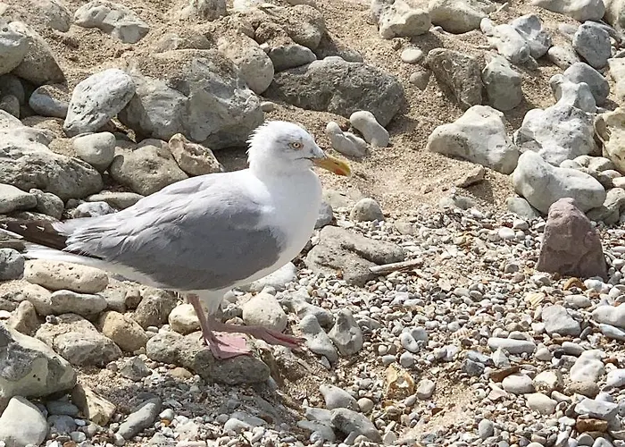 Le De Gabriel Front De Διαμέρισμα